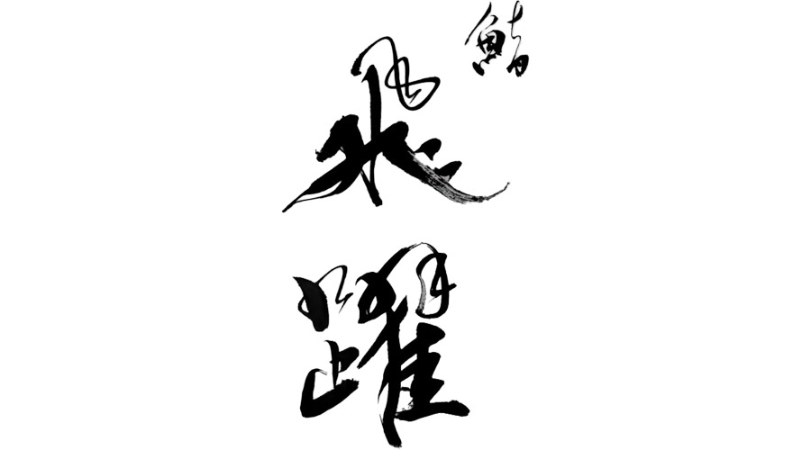 納入実績,飛躍
